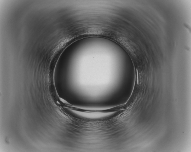 X0000098020252200804071400