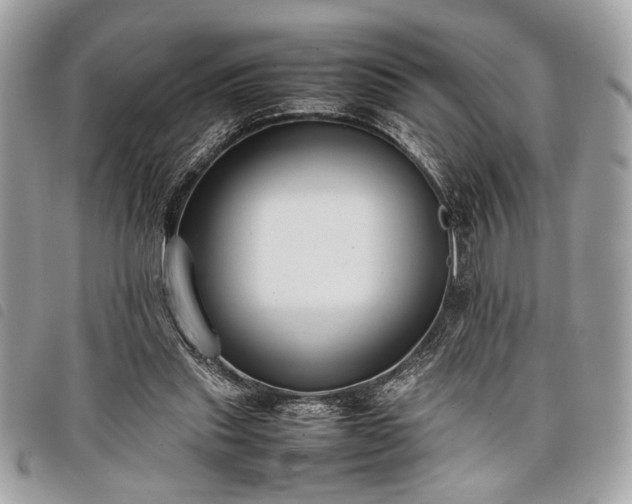 X0000098020253200804071400