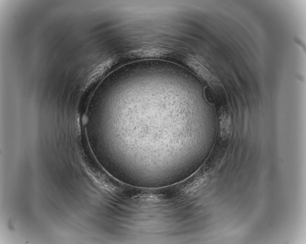 X0000098020254200804071400