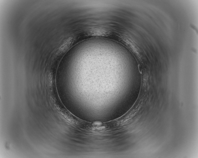 X0000098020257200804071400