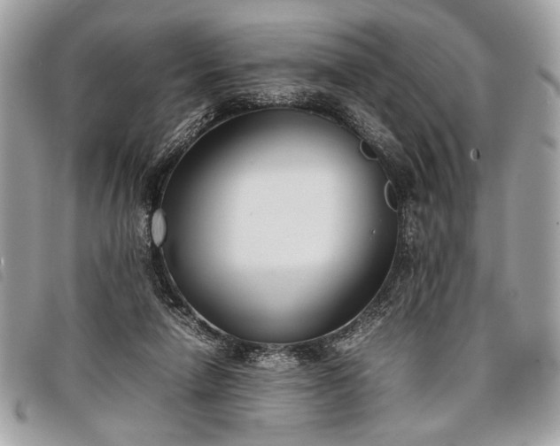 X0000098020258200804071400