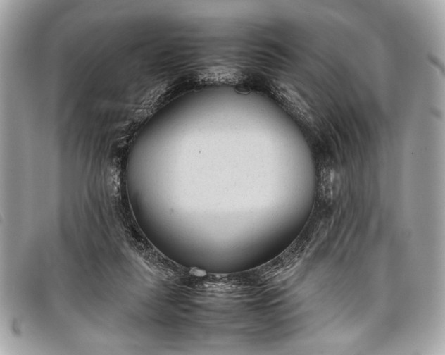 X0000098020259200804071400