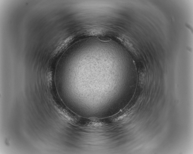 X0000098020260200804071400