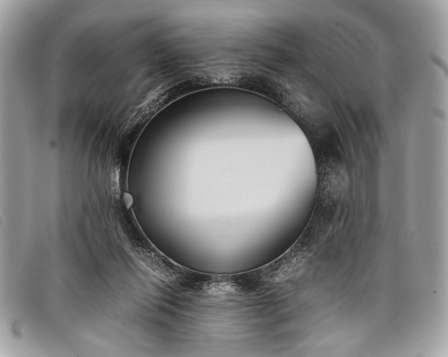 X0000098020262200804071400