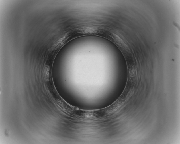 X0000098020264200804071400