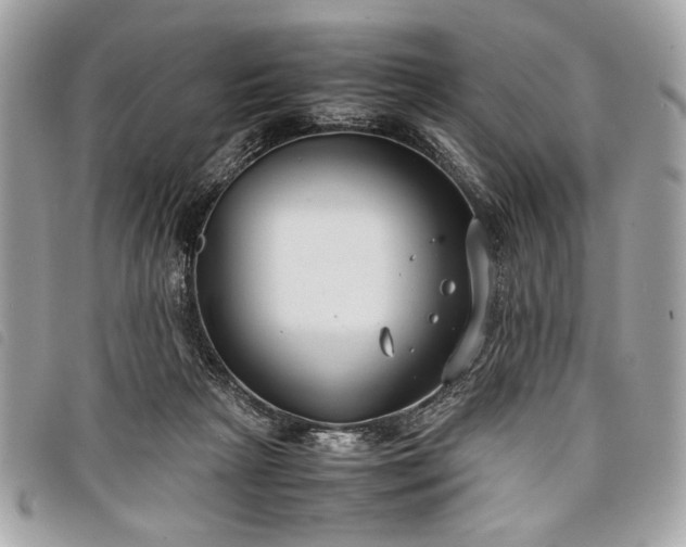 X0000098020265200804071400