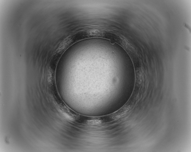 X0000098020266200804071400