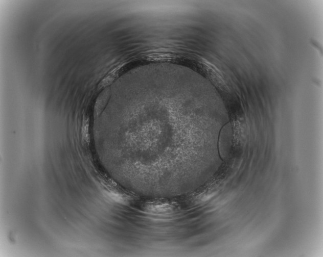 X0000098020267200804071400