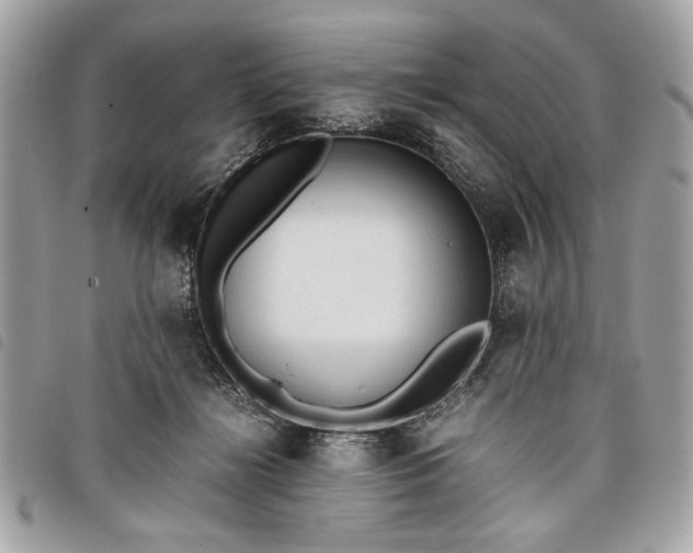 X0000098020268200804071400