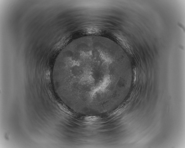 X0000098020269200804071400