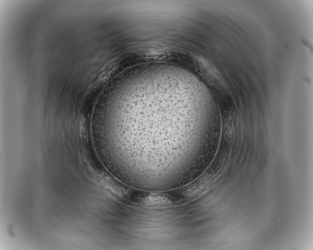 X0000098020270200804071401