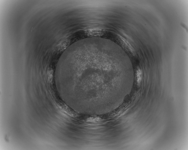 X0000098020271200804071401