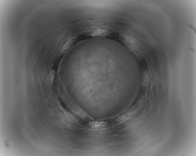 X0000098020273200804071401