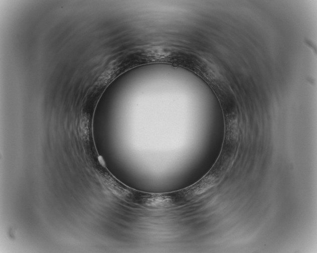 X0000098020274200804071401