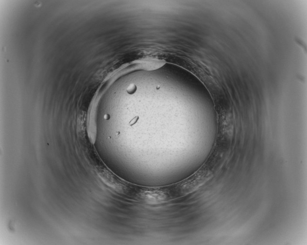 X0000098020275200804071401