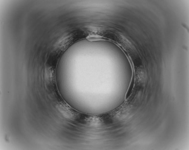 X0000098020276200804071401