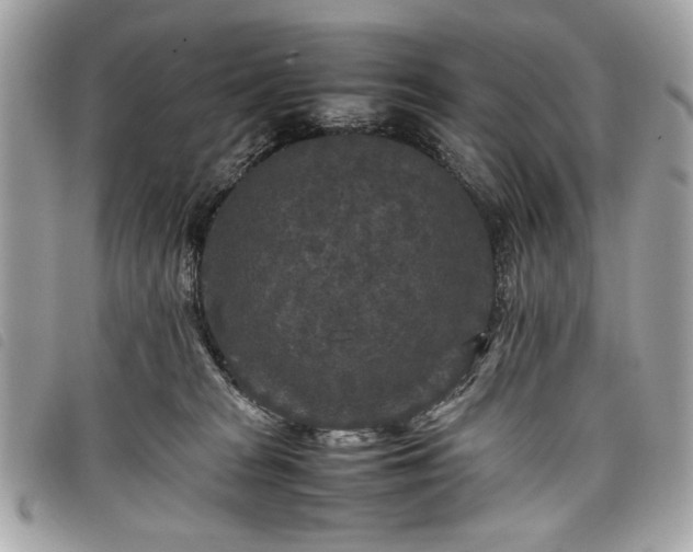 X0000098020277200804071401