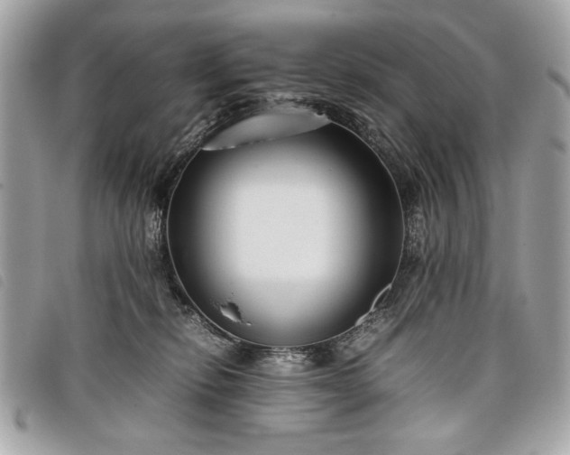 X0000098020278200804071401