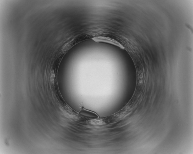 X0000098020279200804071401