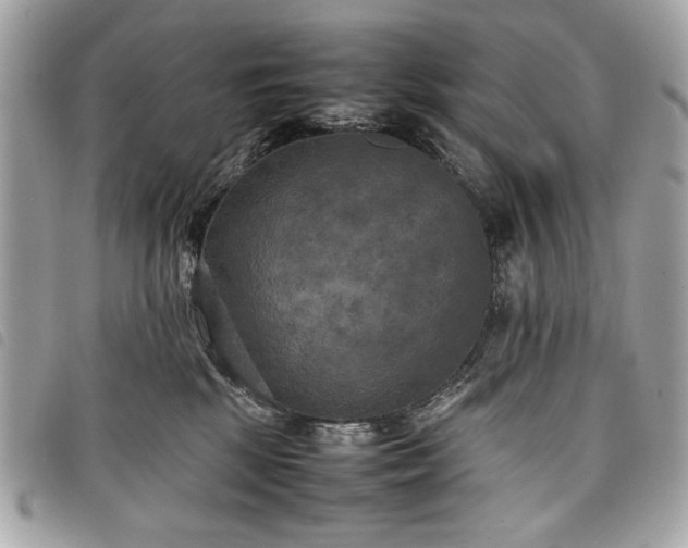 X0000098020281200804071401