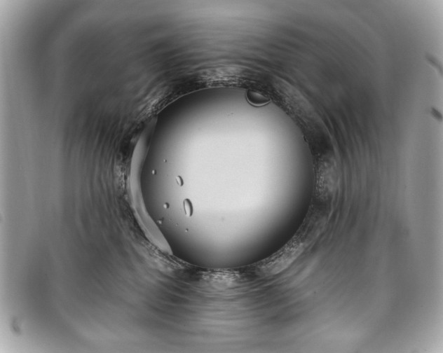 X0000098020282200804071401