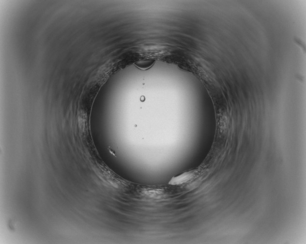 X0000098020283200804071401