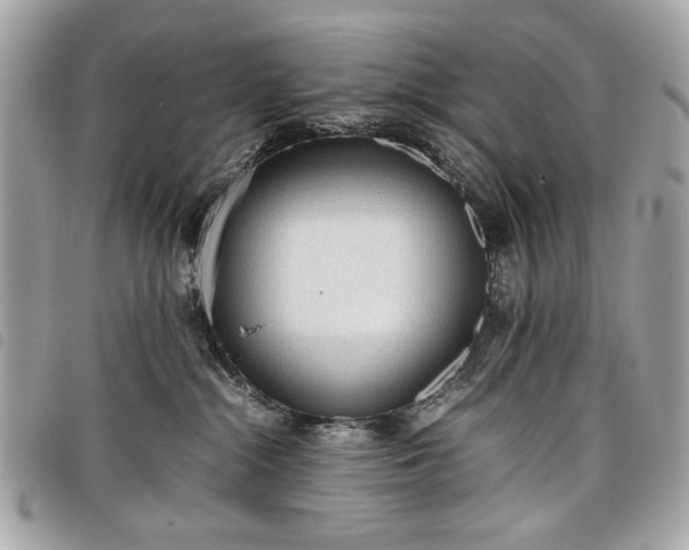 X0000098020284200804071401