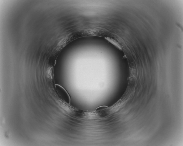 X0000098020286200804071401