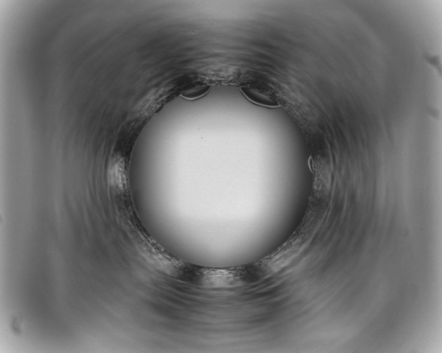 X0000098020287200804071401