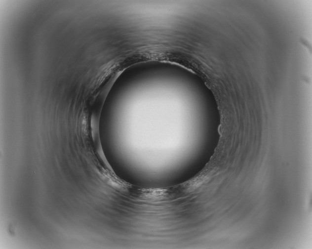 X0000098020288200804071401