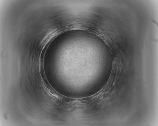 X0000098020290200804071400