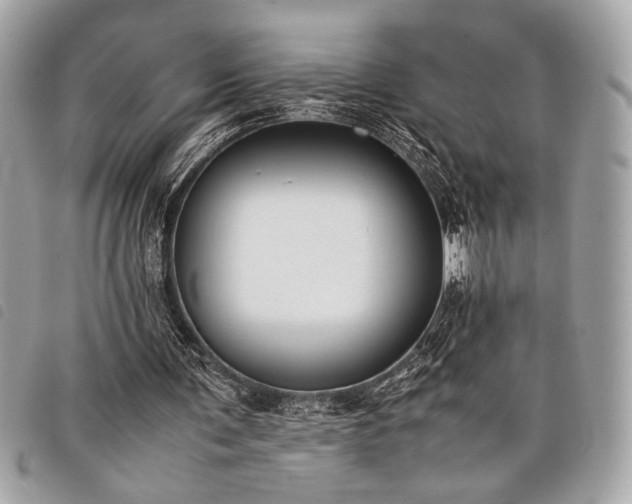 X0000098020291200804071400