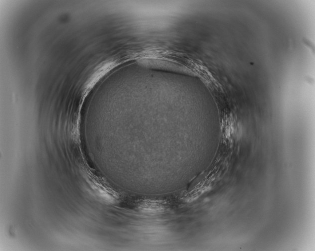 X0000098020292200804071400