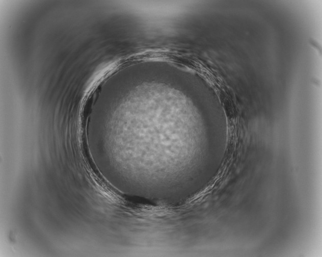 X0000098020293200804071400