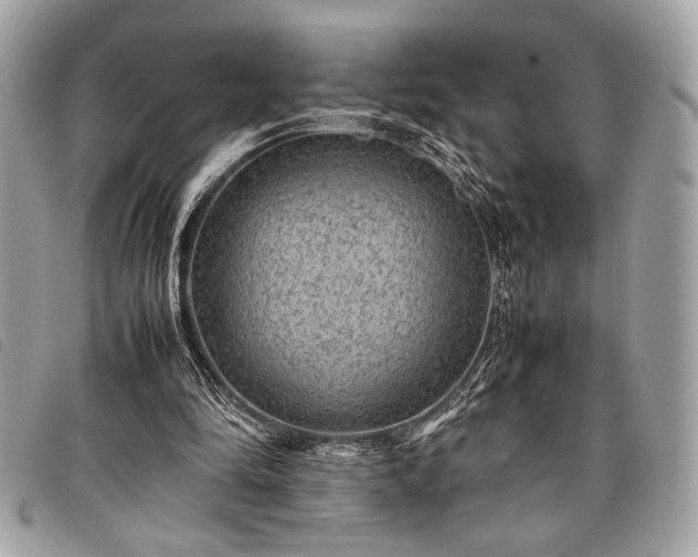 X0000098020294200804071400