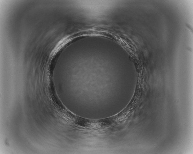 X0000098020295200804071400