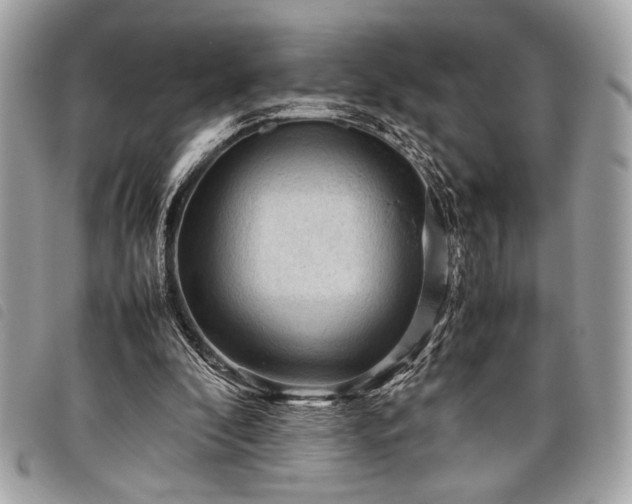 X0000098020296200804071400