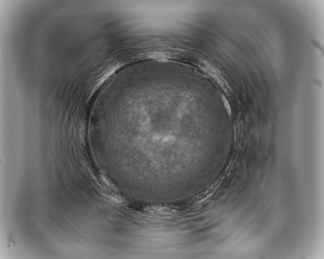 X0000098020297200804071400