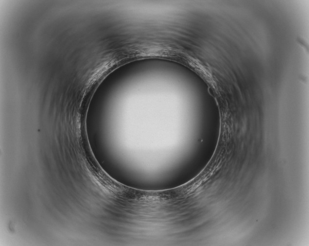 X0000098020298200804071400