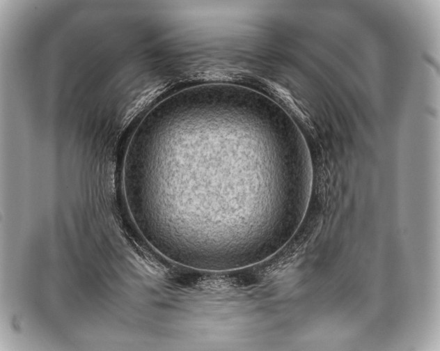 X0000098020299200804071400