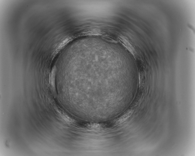 X0000098020301200804071400