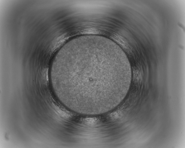 X0000098020302200804071400