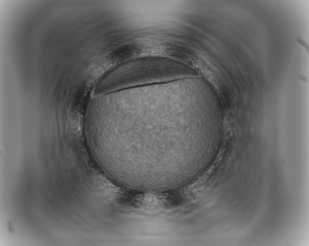 X0000098020305200804071400