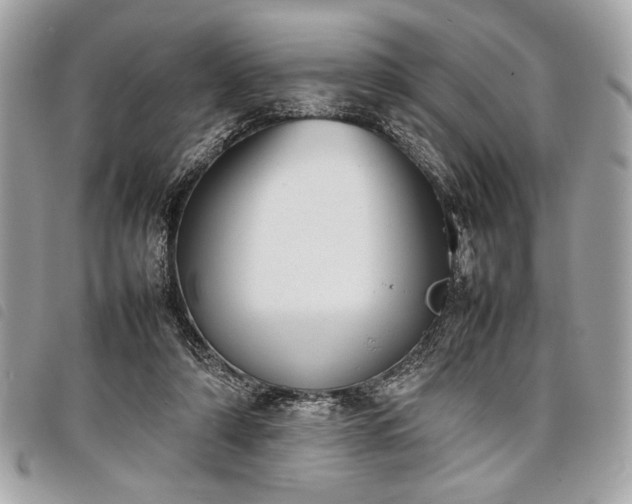 X0000098020306200804071400