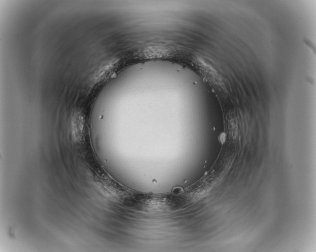 X0000098020308200804071400