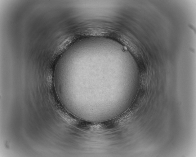 X0000098020309200804071400