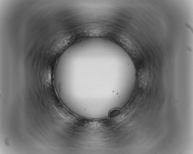 X0000098020310200804071400