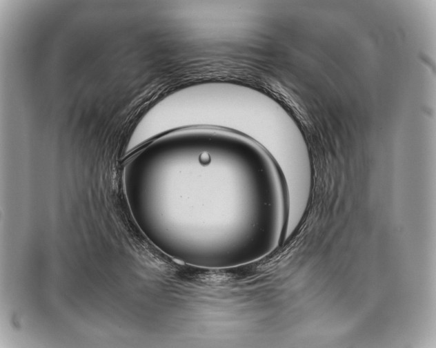 X0000098020313200804071400