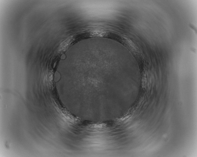 X0000098020314200804071400