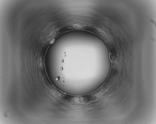 X0000098020317200804071400